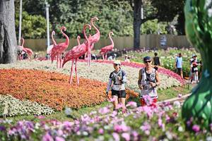 BIB: 
                            <button type="button" onclick="openModal(27793706)" class="btn btn-primary btn-sm float-right btn-popup" data-toggle="modal" data-target=".modal-high-quality">
                        <i class="fas fa-shopping-cart"></i> Add to Cart
                    </button>
                                            <button type="button" onclick="isThisMe(27793706, true)" class="btn btn-success btn-sm float-right btn-popup btn-isme hidden" data-toggle="tooltip" data-placement="bottom" title="นี่คือรูปของคุณใช่ไหม คลิกที่นี่เพื่อเอาเข้าอัลบั้ม">
                        <i class="fas fa-plus"></i> Add to album
                    </button>
                    <button type="button" onclick="isThisMe(27793706, false)" class="btn btn-warning btn-sm float-right btn-popup btn-isnotme hidden">
                        <i class="fas fa-ban"></i> Remove from album
                    </button>